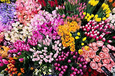 《幻想女武神》9月10日推出正式版 支持日语全语音